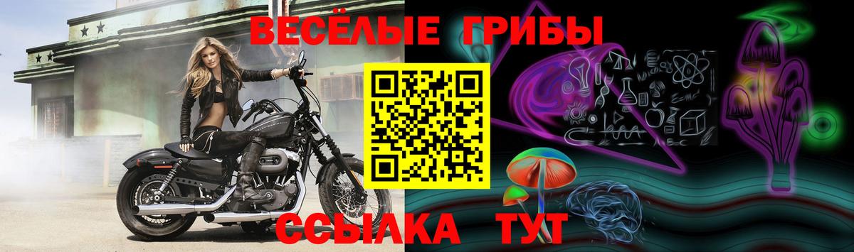 Псилоцибиновые грибы Psilocybine cubensis  Вход с VPN  Серов 